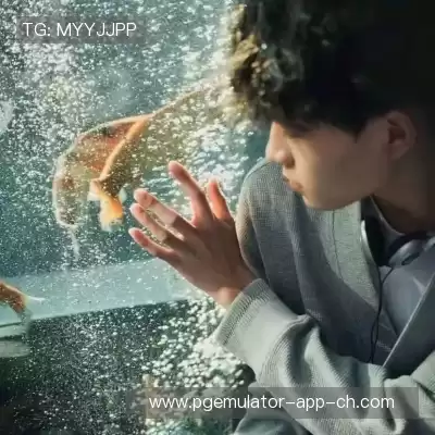 嵇嵘琚